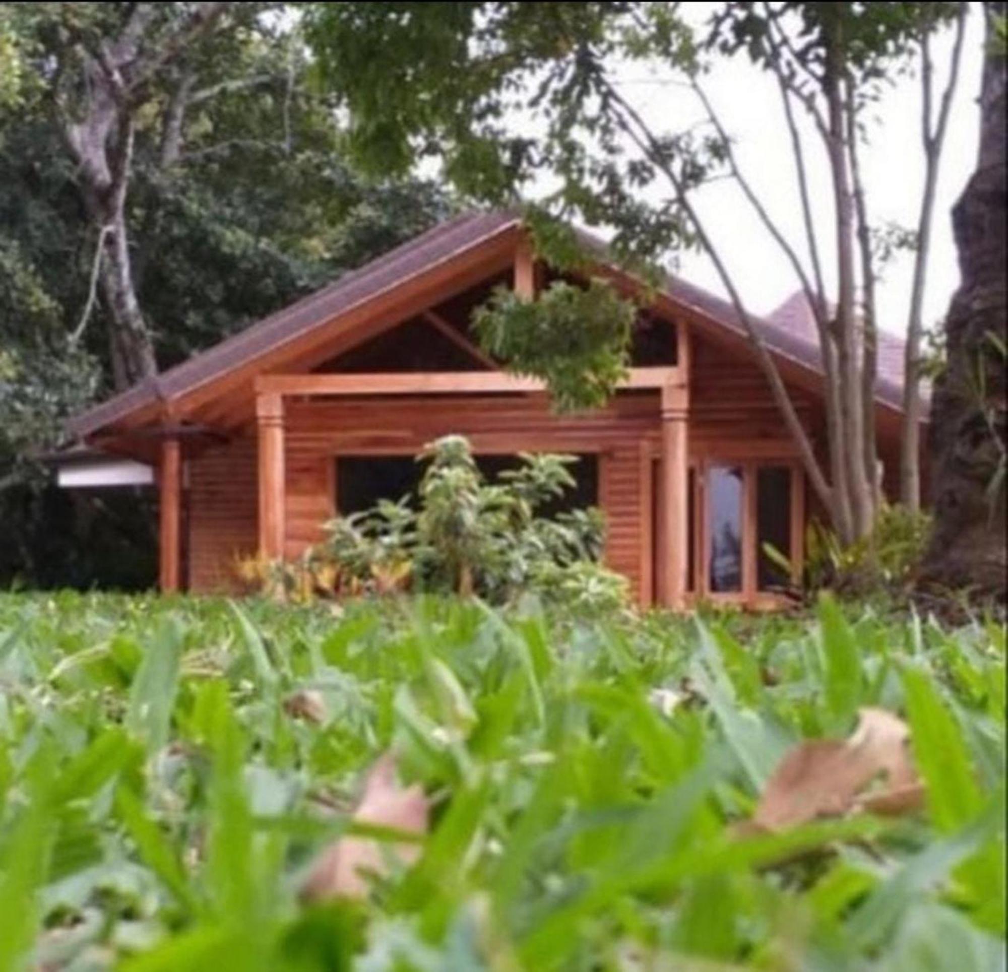 Cabanas La Laguna Cartago Dış mekan fotoğraf